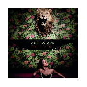Image de Antiloops
