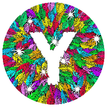 Image de Yuli
