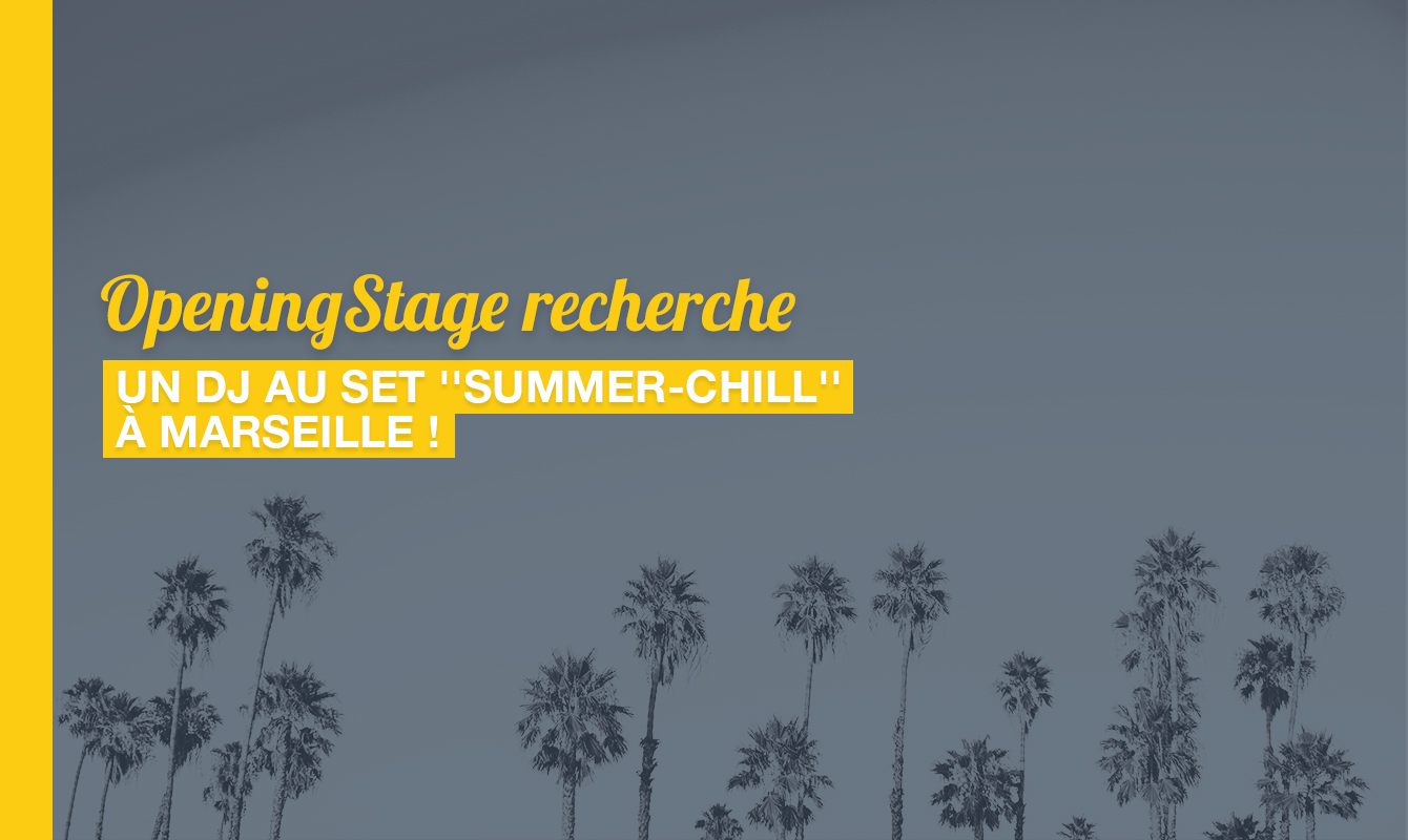 image de l'offre Un DJ au set Summer-Chill !