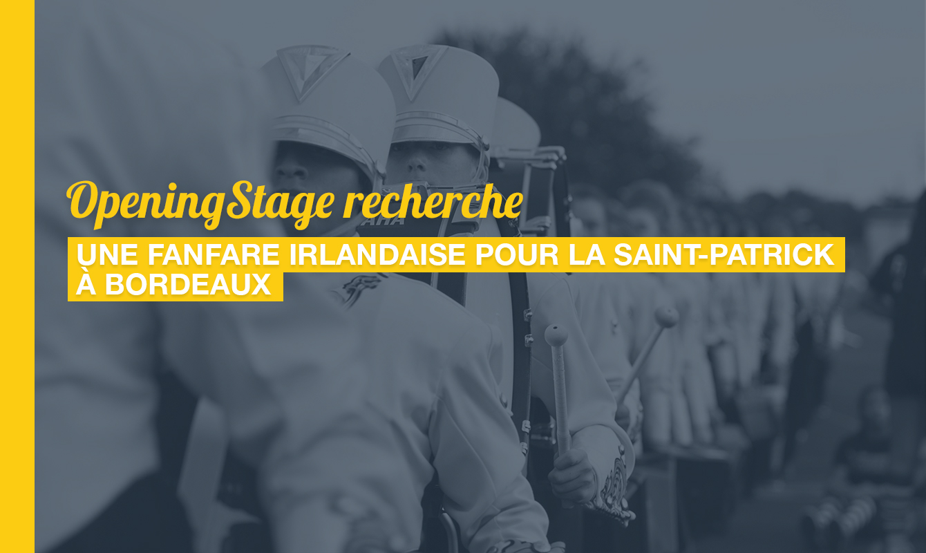 image de l'offre Une fanfare irlandaise pour la Saint-Patrick !