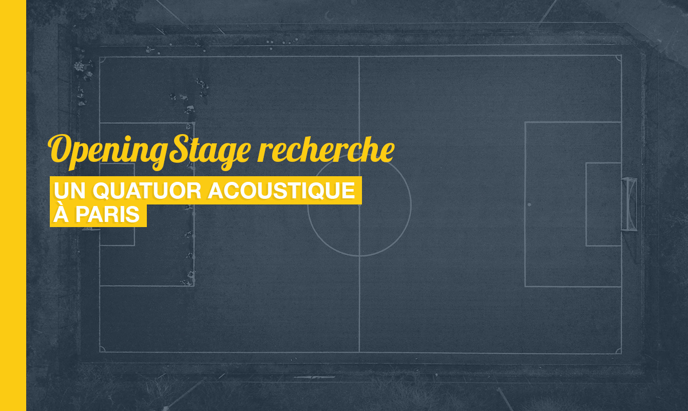 image de l'offre Un quatuor énergique & acoustique !