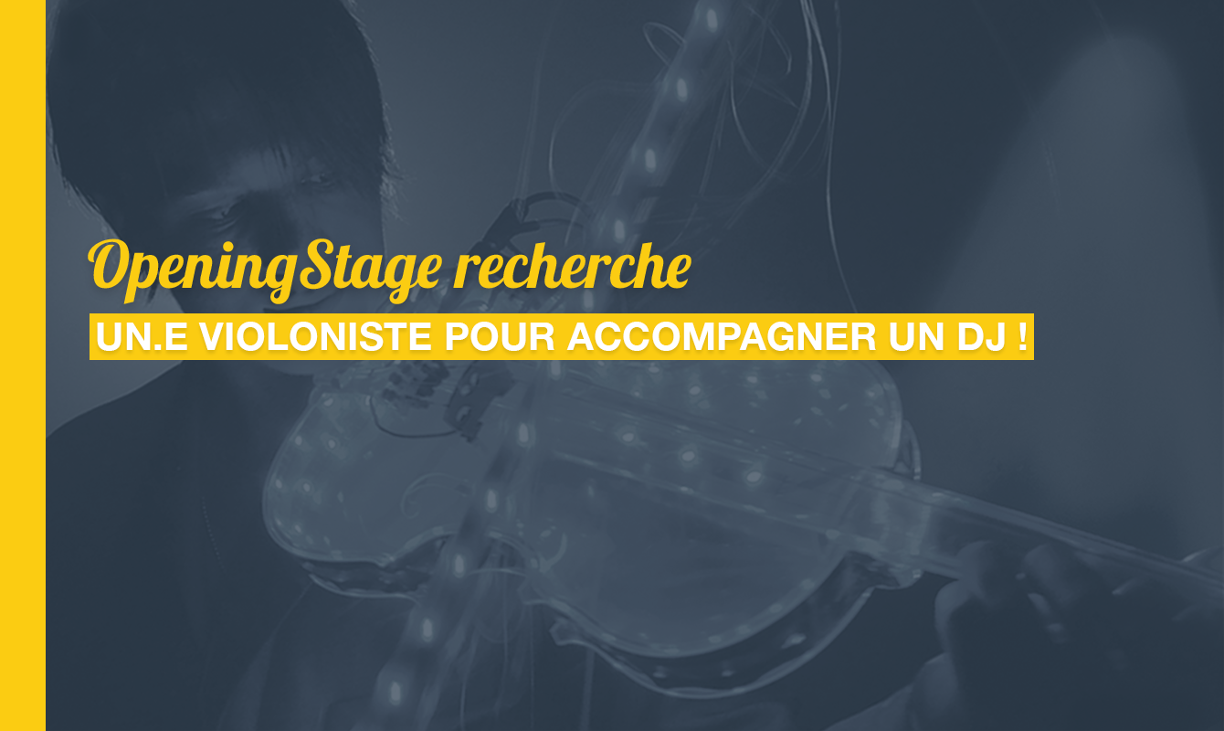 image de l'offre Un.e violoniste pour accompagner un DJ !