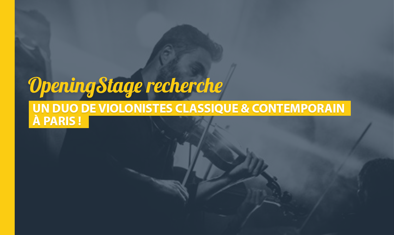 image de l'offre Un duo de violons pour une présentation de collection !