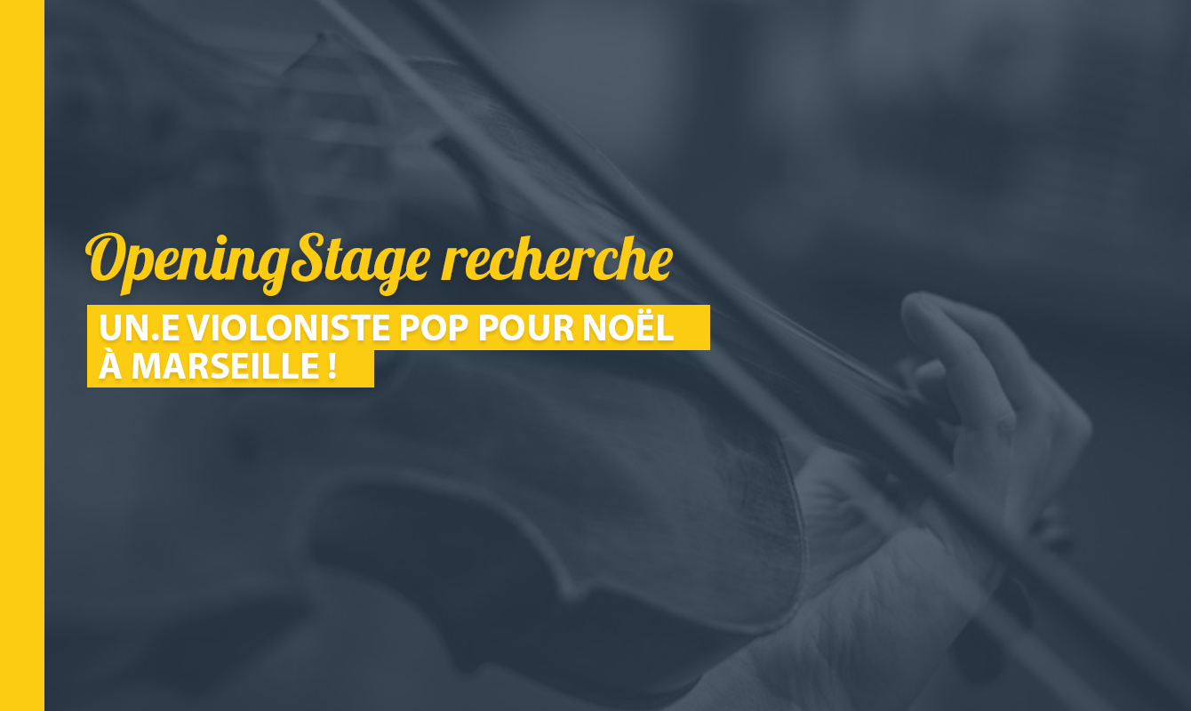 image de l'offre Un.e violoniste pop pour Noël !