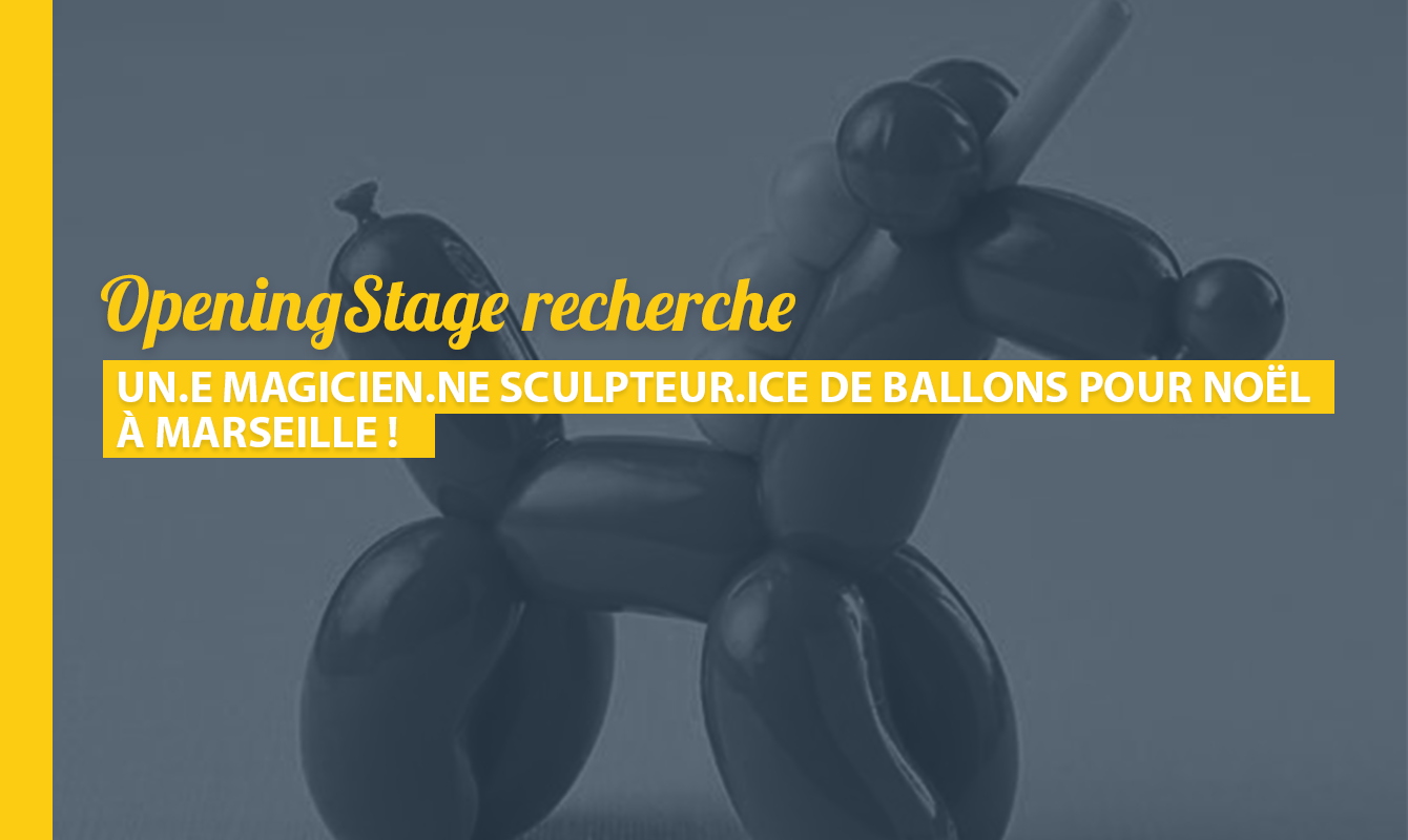 image de l'offre Un.e magicien.ne sculpteur.ice de ballons pour Noël !