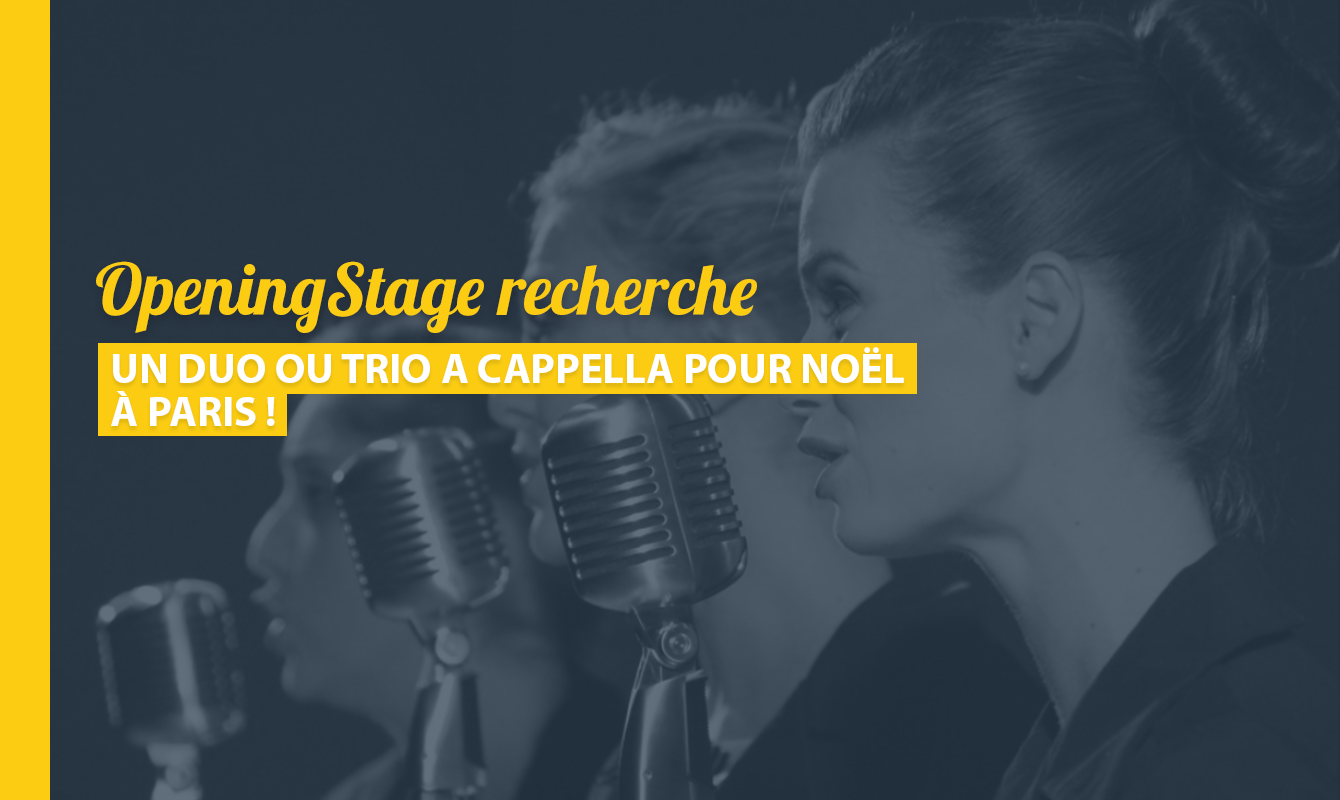 image de l'offre Un Duo ou Trio A Cappella pour Noël !