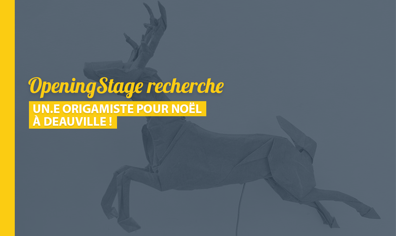 image de l'offre Un.e Origamiste pour Noël !