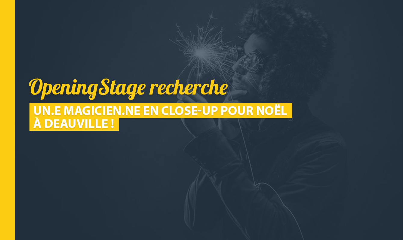 image de l'offre Un.e magicien.ne en Close-Up pour Noël !