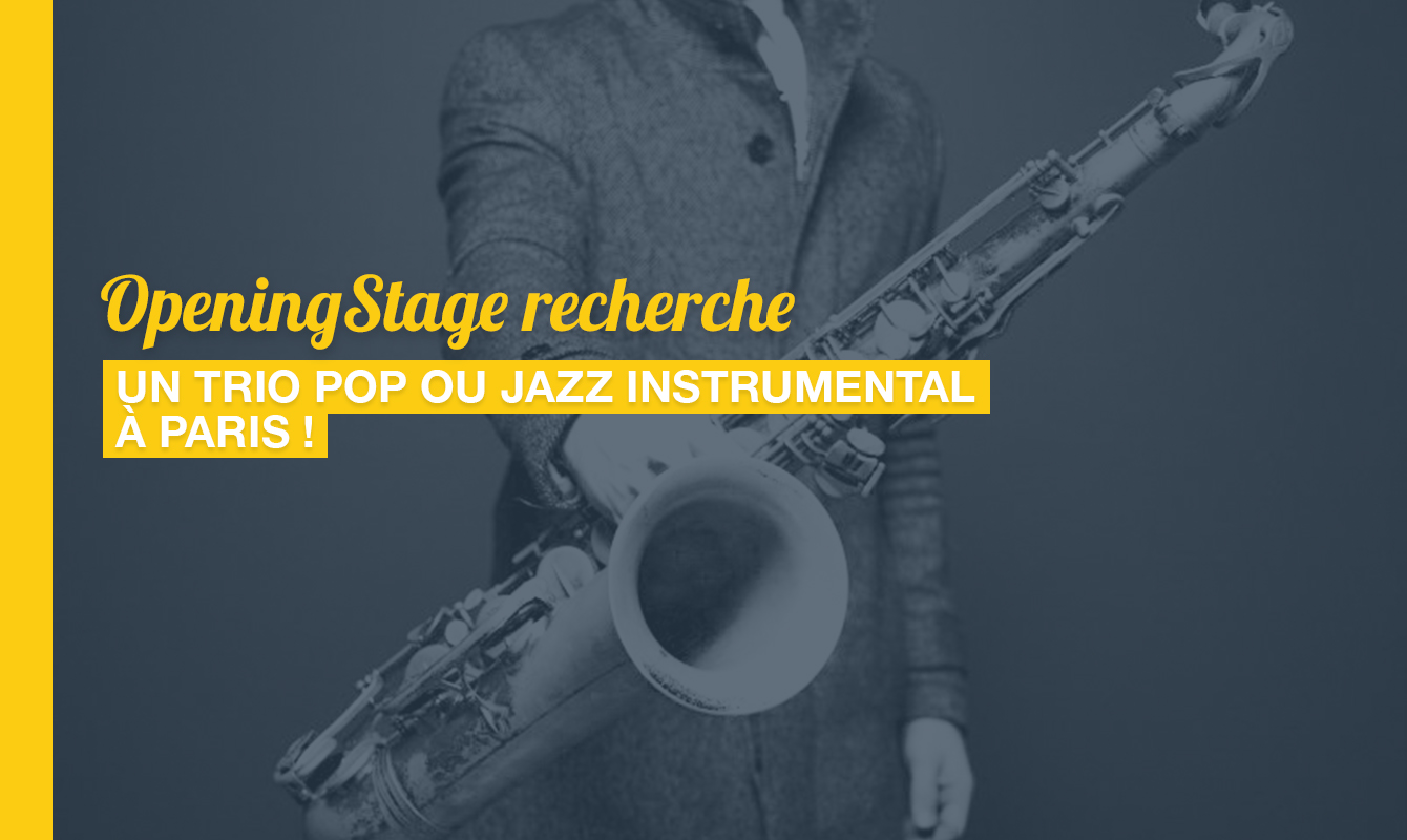 image de l'offre Un Trio Pop ou Jazz instrumental pour un stade de football !